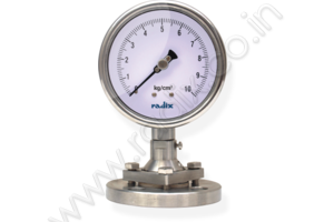 Flanged Sealed Gauge with Bolted Sealed Unit