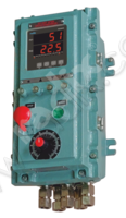 PROCESS CONTROLLER WITH RPM INDICATION